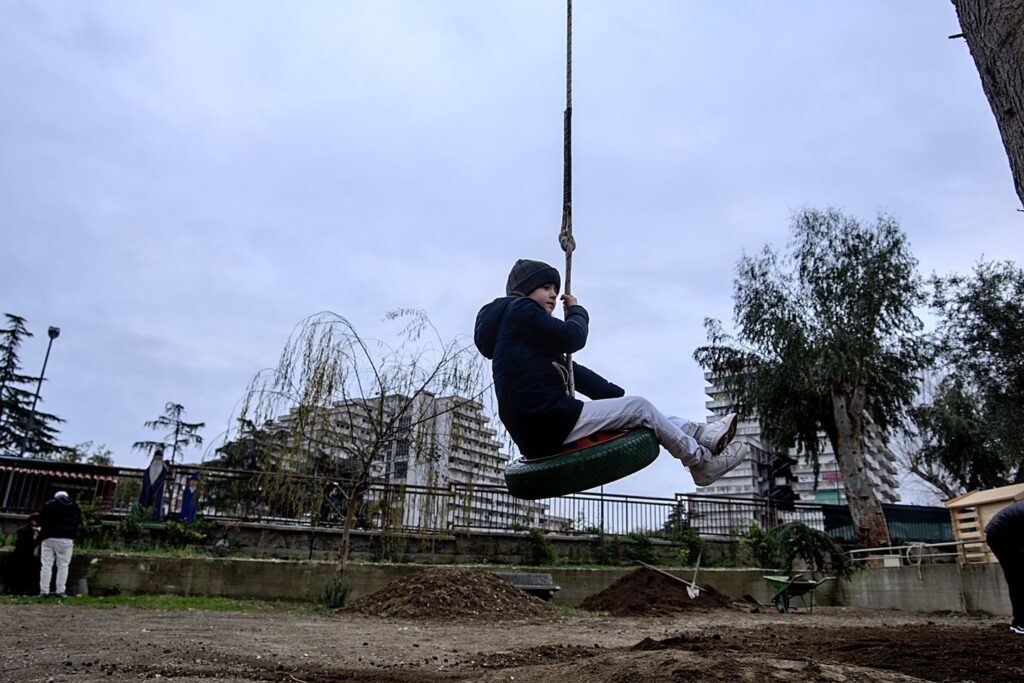 L'albero delle storia di Scampia